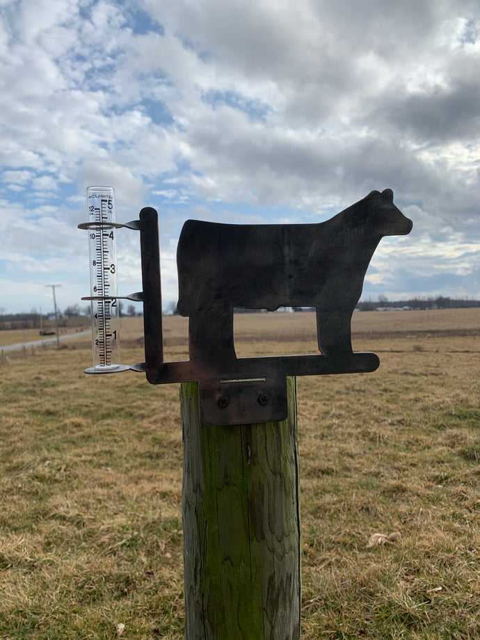 Steer silhouette rain gauge