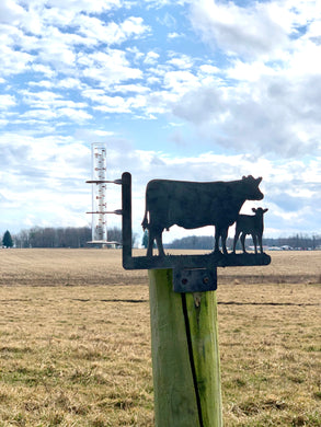 Cow Calf silhouette rain gauge